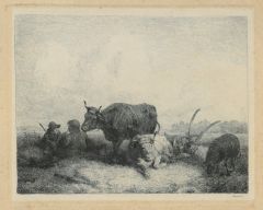 11585EG