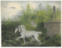 11791AG