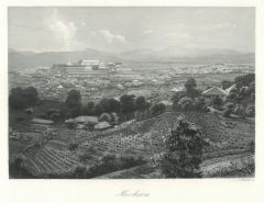 13177AG