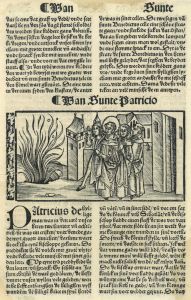 14218EG