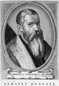 14908EG