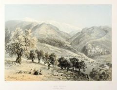 14977AG
