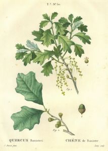 15990EG
