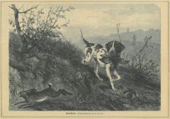 16190EG