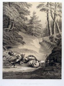 16452BG