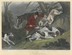16531AG