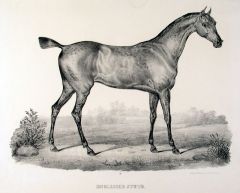 17835BG