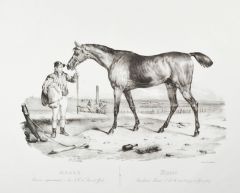 17884CG