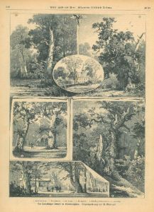 19176AG