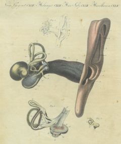 21467BG