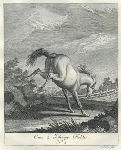 22021BG