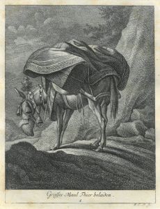 22026BG