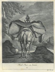 22027BG