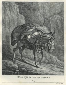 22028BG