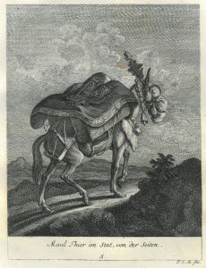 22030BG