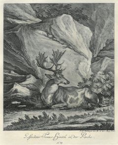 22035BG