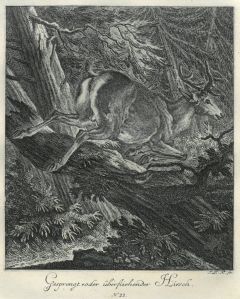 22041BG
