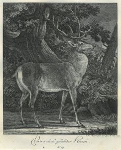 22048BG