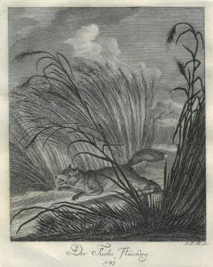 22054BG