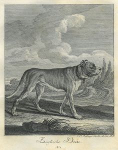 22058BG