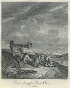 22062BG