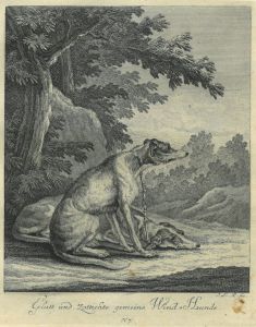 22063BG