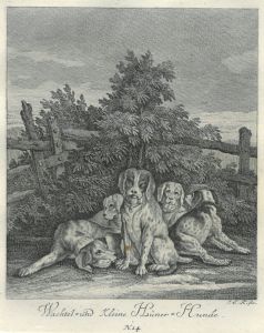 22064BG