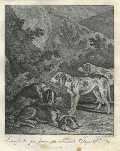 22066BG