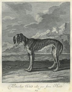 22067BG