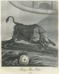 22074BG