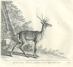 22083BG