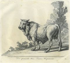 22116BG