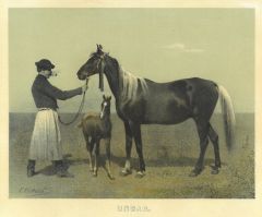 22172BG