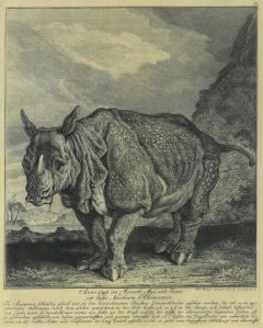 22256BG