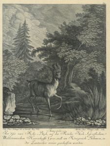 22259BG