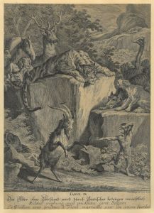 22454BG