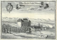 245BG