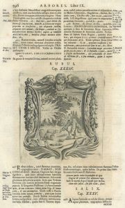 26437EG