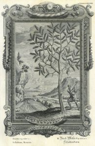28794EG