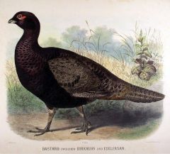31502EG