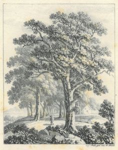 35808EG