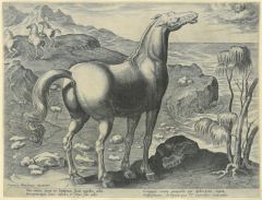 38017EG