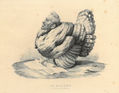 42632EG