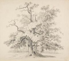 44157EG