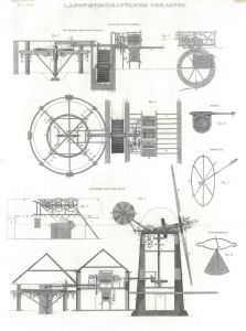 50276DG