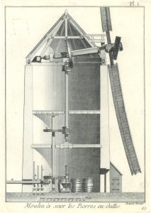 50391DG