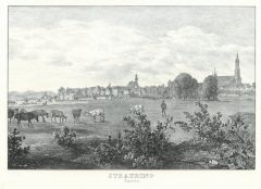 6401AG