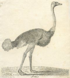 8465DG