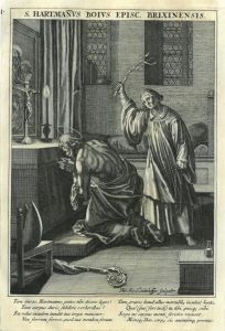 8663AG